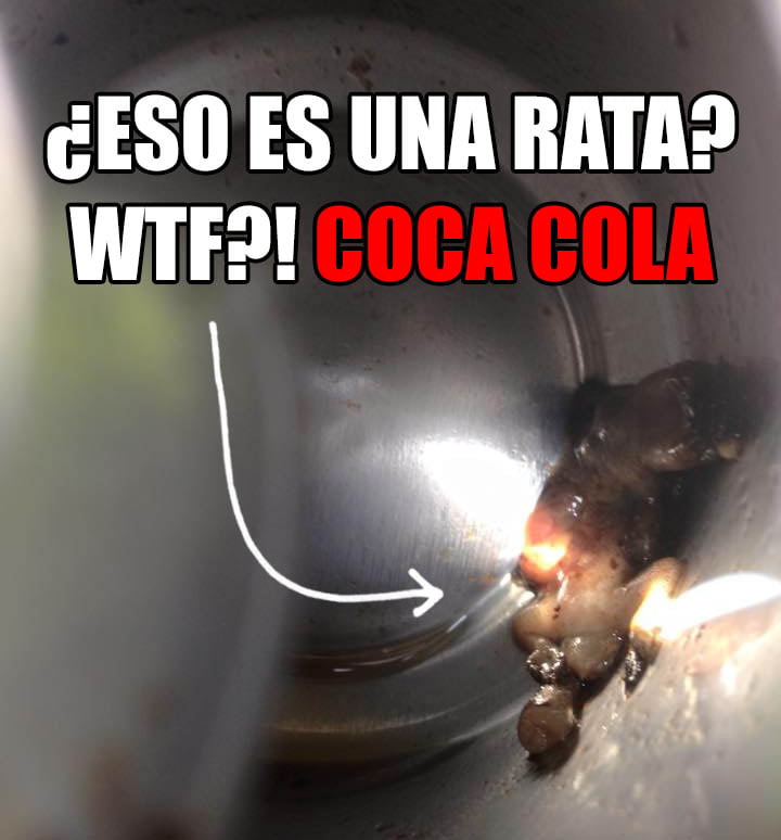 La Rata que salió en una Coca Cola ya es un Meme