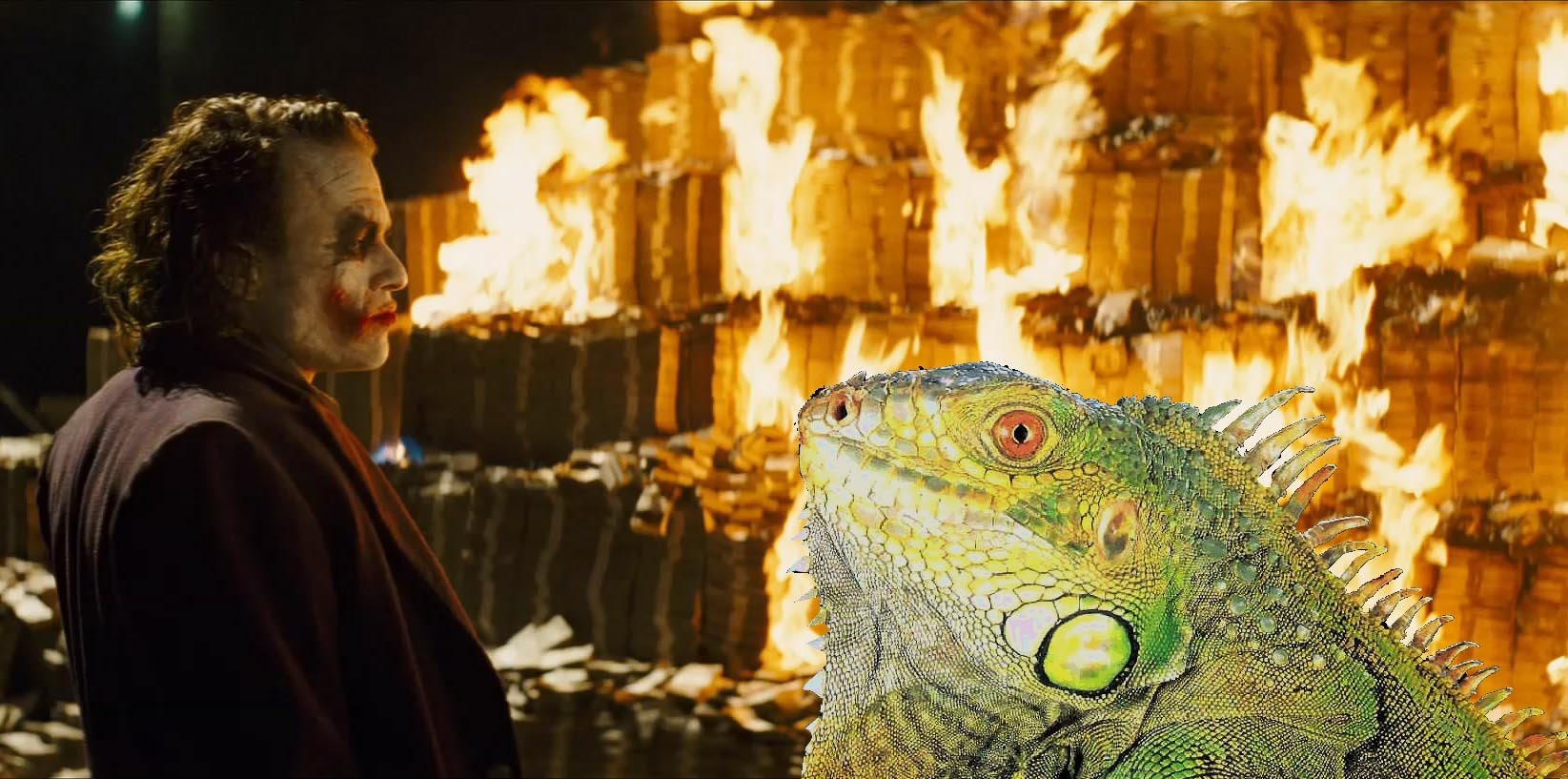 La verdadera historia de como en Nicaragua dejamos quemar millones de dólares por unos garrobos