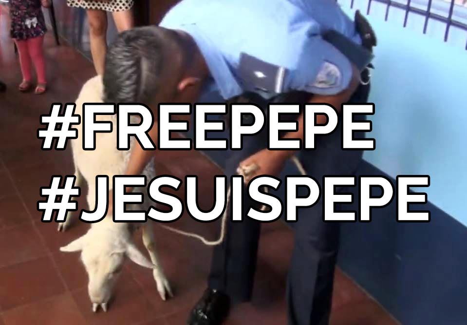 Policía de Nicaragua, liberen a Pepe o van a ver #FreePepe #JeSuisPepe