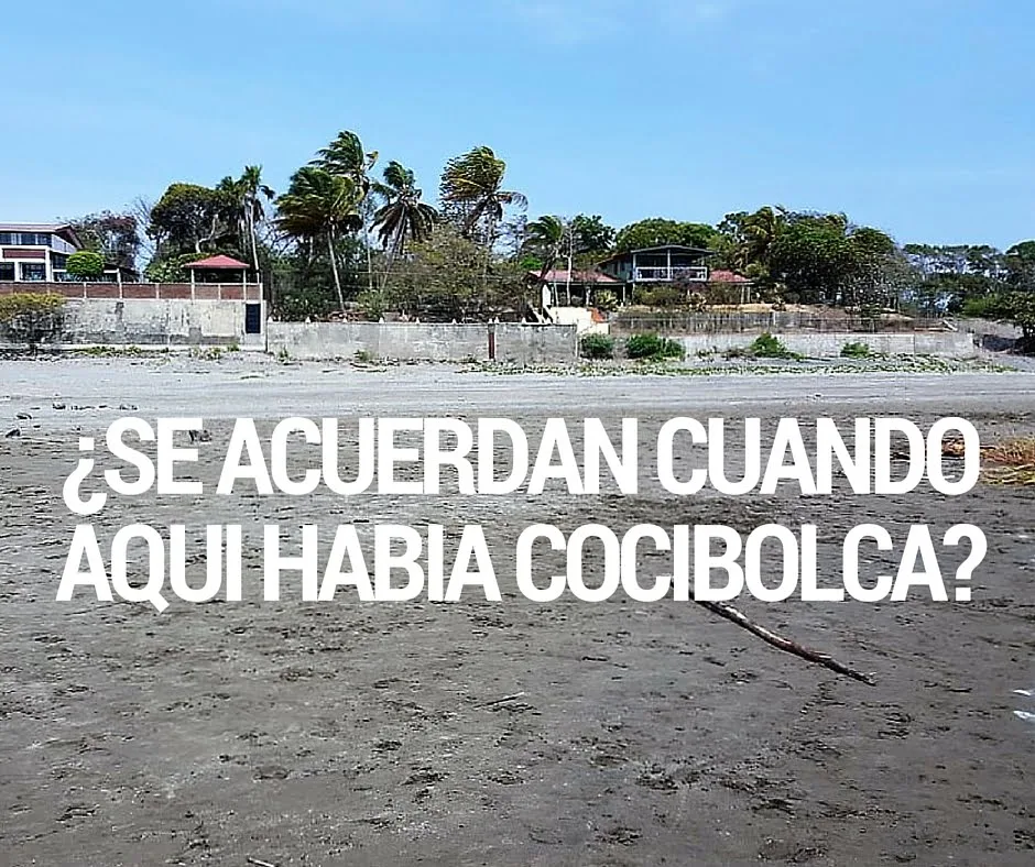 El Cocibolca se secó y es culpa de tus tajadas y el maduro frito (fotos)