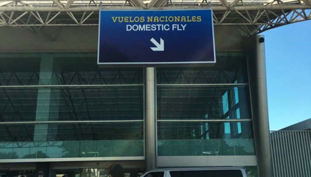 A pues sí, la foto del «Domestic Fly» es tristemente verdadera