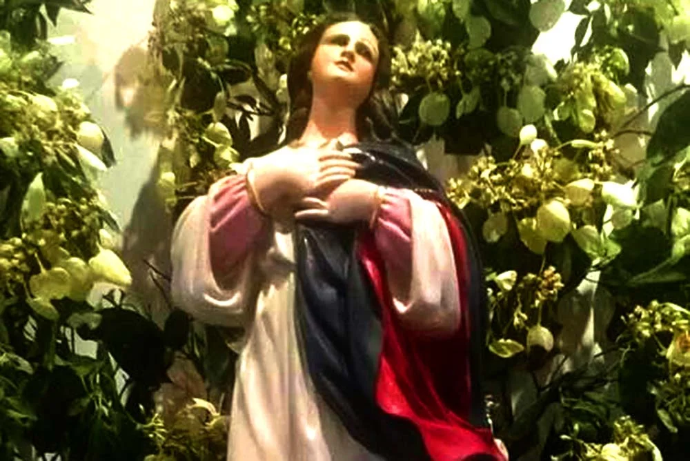 Todo lo que necesitas saber sobre la Virgen con manto rojo y negro