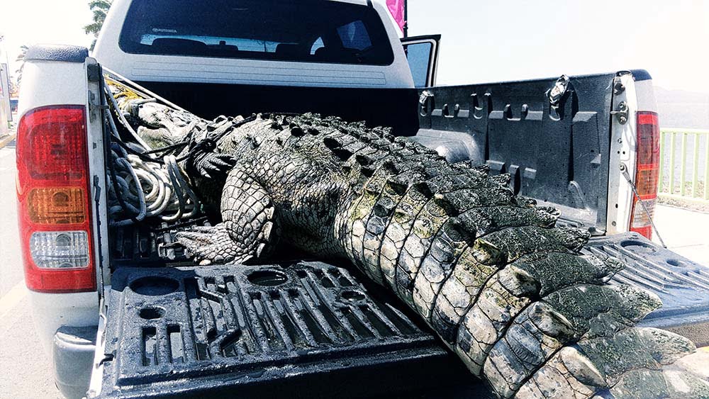 Desalojan a Juancho el Lagarto del Lago de Managua. Hacemos una marcha?