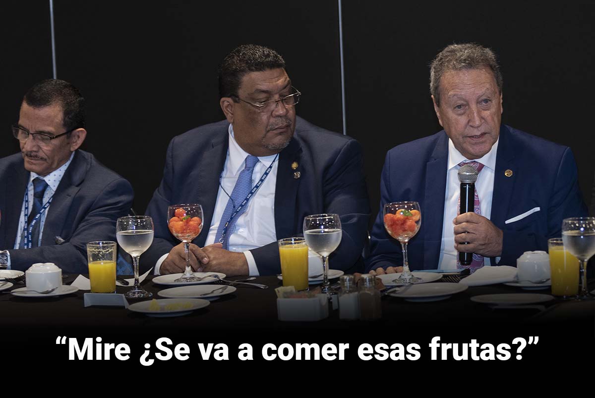 El análisis oficial de la resolución de la OEA para ayudar a Nicaragua, en 3 meses (menos 15 días) ¿Y por qué llora Bayardo Arce?