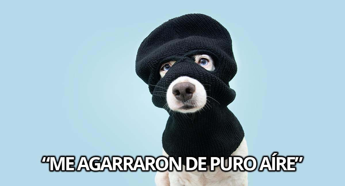 Como la robadera en Nicaragua ya no se aguanta, hagamos un experimento (en dólares)