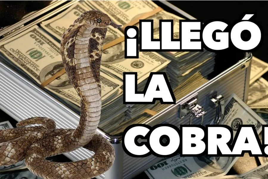 Desde Venezuela se filtra que Rosario Murillo es mala paga (cobrador tuvo que venir en avión)