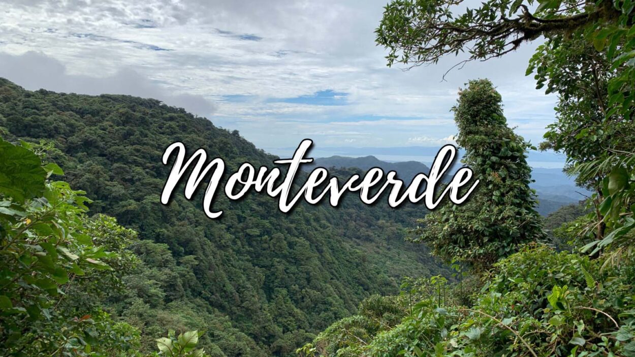 Mi aplicación para participar en Monteverde