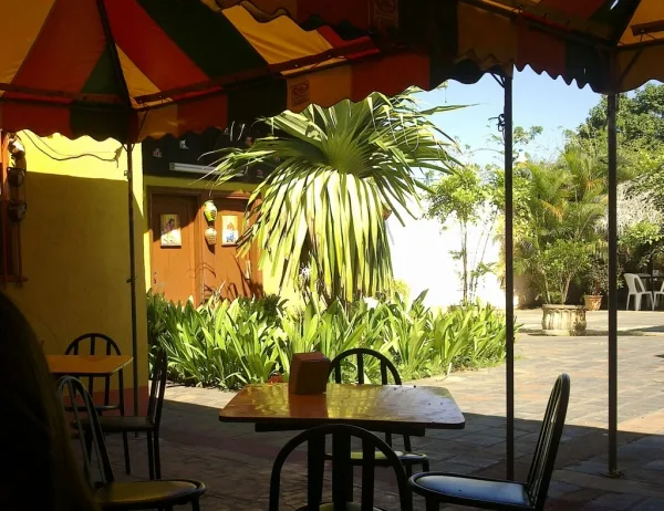 Roncito visita el Comedor De Colores
